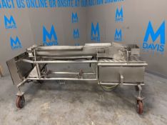 Automation Services S/S Auger Conveyor