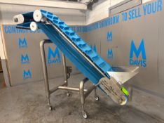 INCLINED S/S BELT CONVEYOR