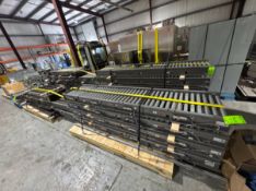 TGW CASE CONVEYOR SYSTEM