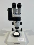 Wild Heerburg M3 Stereo Microscope