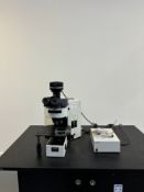 Olympus AX70 Microscope