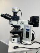Olympus BX51TF Dual Observation Microscope