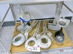 Assorted Benchtop Clamp Magnifying Lights