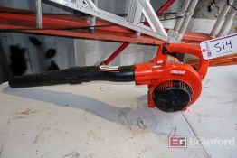 Echo PB-250LN Blower