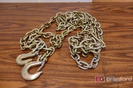 Lot of Heavy Duty Chains w/ Hooks