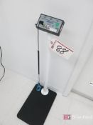 Desco Combo Wrist Strap Footware ESD Tester