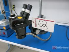 Bausch & Lomb Stereo Zoom Microscope