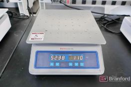 Thermo Scientific 88882007 Digital Mini Rotator