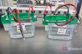 Lot of (2) Bio-Rad 135BR Criterion Cells