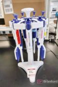 Rainin Pipet Stand with (7) Rainin-Lite XLS Pipets 20-200 uL