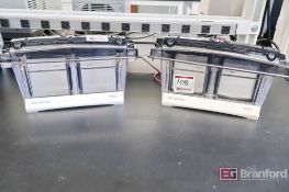 Lot of (2) Thermo Fisher Scientific Mini Gel Tanks