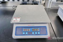 Thermo Scientific 88882007 Digital Mini Rotator