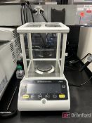 AE Adam LUNA Lab 254e Scale