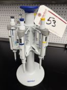 (6) Eppendorf Research Plus Single-Channel Pipetters w/ Stand