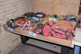 Lot - Safety Harnesses in (6) Boxes on (1) Bench