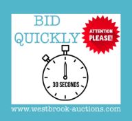 BID QUICKLY, LOTS WILL BE ENDING EVERY 30 SECONDS AT THIS AUCTION!