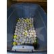 Lot - (2) Totes of Golf Balls - Image 4 of 5