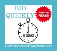BID QUICKLY, LOTS WILL BE ENDING EVERY 45 SECONDS AT THIS AUCTION!