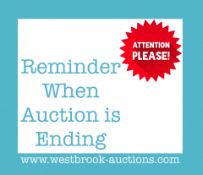REMINDER WHEN AUCTION IS ENDING ON BIDSPOTTER