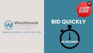 BID QUICKLY, LOTS WILL BE ENDING EVERY 45 SECONDS AT THIS AUCTION