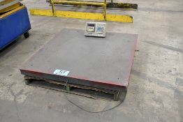 Digiweigh 48