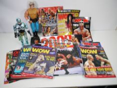 Wrestling - Galoob - A collection of WWF and WCW items including a Galoob 14 inch 'The Stinger'