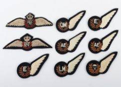 Grouping of RAF Tunic Pilots and Brevet Wings