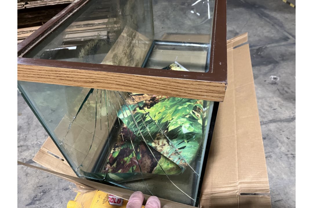 Fish Tank - Image 3 of 3