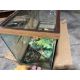 Fish Tank - Image 3 of 3