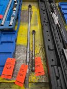 Asst. Torque Wrenches