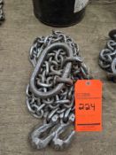 Lifting Chain