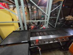 Ni Portable Gas Grill