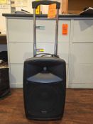 Denon Portable Wireless Microphone and Speaker