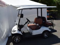 ICON Golf Cart