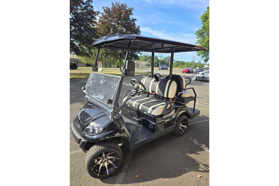 ICON Golf Cart - Image 1 of 12