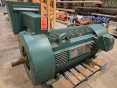 Reliance Electric Motor