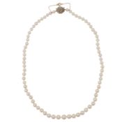 A single strand pearl necklace