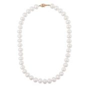 A single strand pearl necklace
