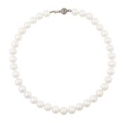 A single strand pearl necklace