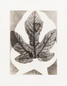 § After Pablo Picasso (Spanish, 1881-1973) Midas