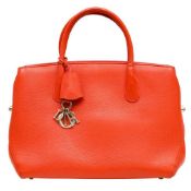 Christian Dior Poppy Open Bar Tote Bag