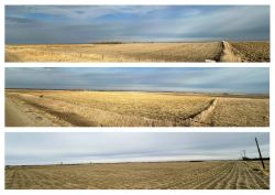 Mikuska Trust- +/-392.24 Surveyed Acres of Fair Twp., Hutchinson County, SD Land