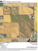 +/-40.00 Acres Productive Lyons Twp., Minnehaha County, SD Land
