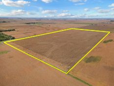 FARM #1 – +/-80 Acres - Legal: W½ NW¼ 26-99-56, Hutchinson Co., SD