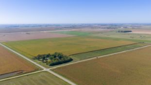 TRACT #1B – +/-185.24 Acres