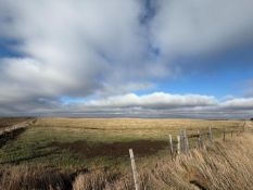 +/-80 Acres of Rosewll Twp., Miner County SD Land