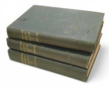 Wright, Thomas – The History of Ireland from the E