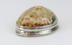 A 19th century cowrie shell snuff box