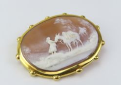 A well carved unmarked shell cameo brooch, depicti