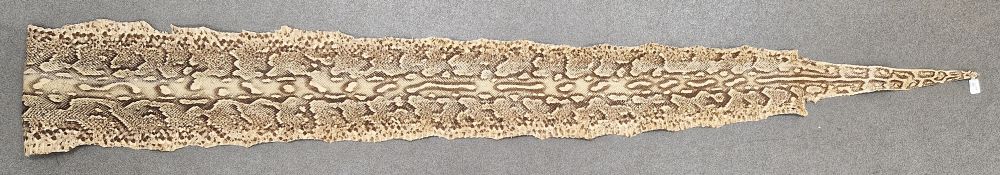 Large vintage python snake skin, approx. 261cm long